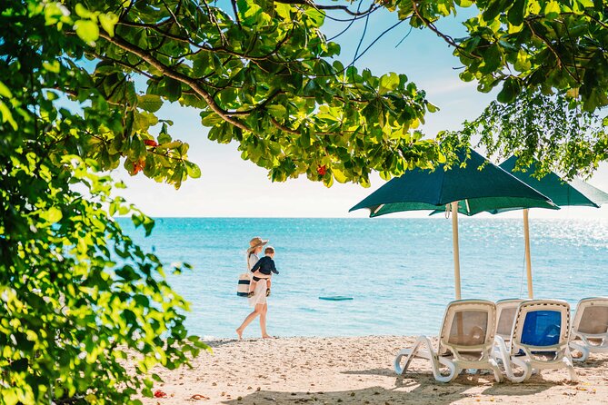 Snorkelling and Glass Bottom Boat at Green Island from Cairns - Beach snorkelling: easy access, changing conditions