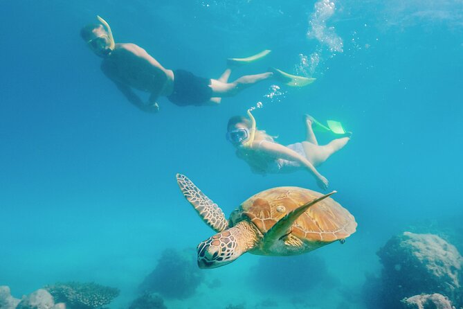 Snorkelling and Glass Bottom Boat at Green Island from Cairns - The glass-bottom boat is the best backup