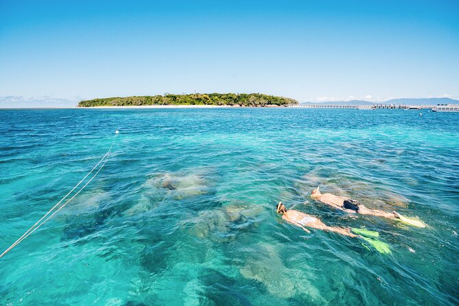 Snorkelling and Glass Bottom Boat at Green Island from Cairns - How much time do you need?