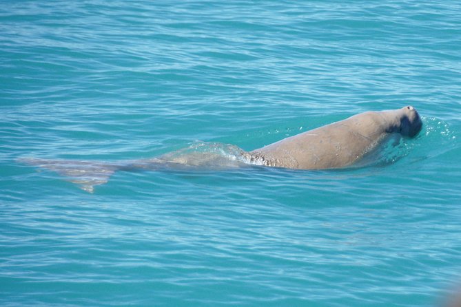 Snubfin Dolphin Eco Cruise from Broome - Setting out from the Broome Fishing Club