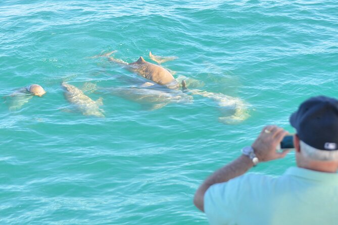 Snubfin Dolphin Eco Cruise from Broome - Conservation adds meaning to the trip