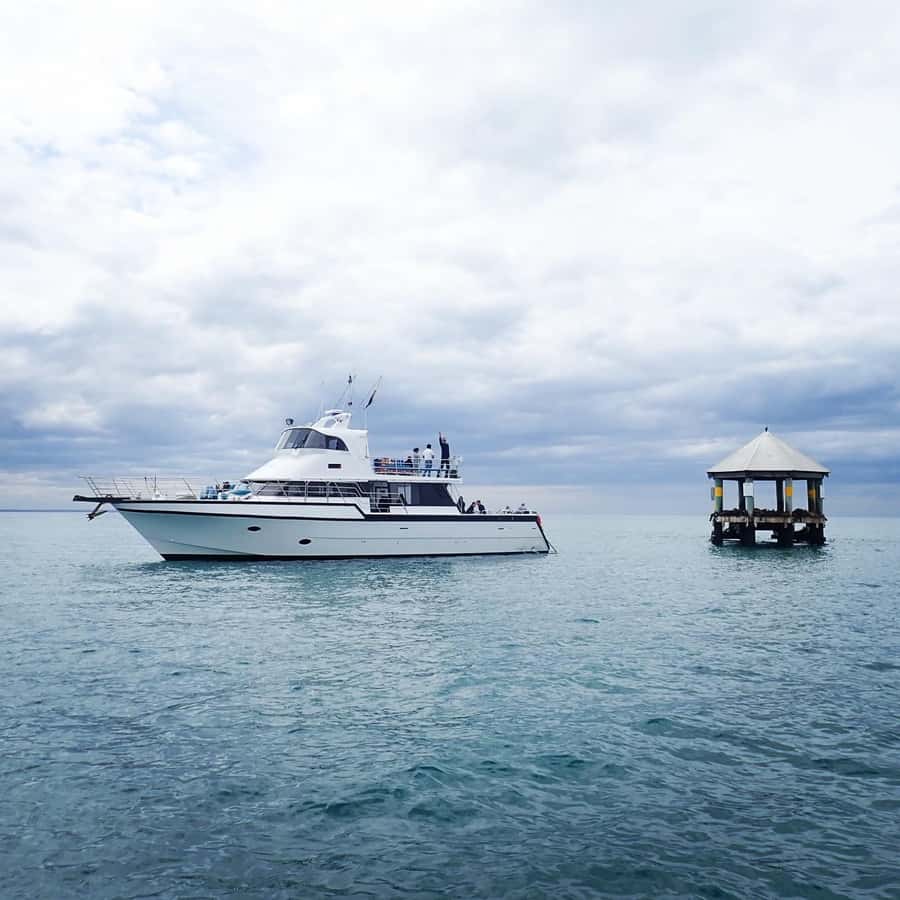 Sorrento,Mornington Peninsula: Wildlife & Sightseeing Cruise - Starting at the end of Sorrento Pier
