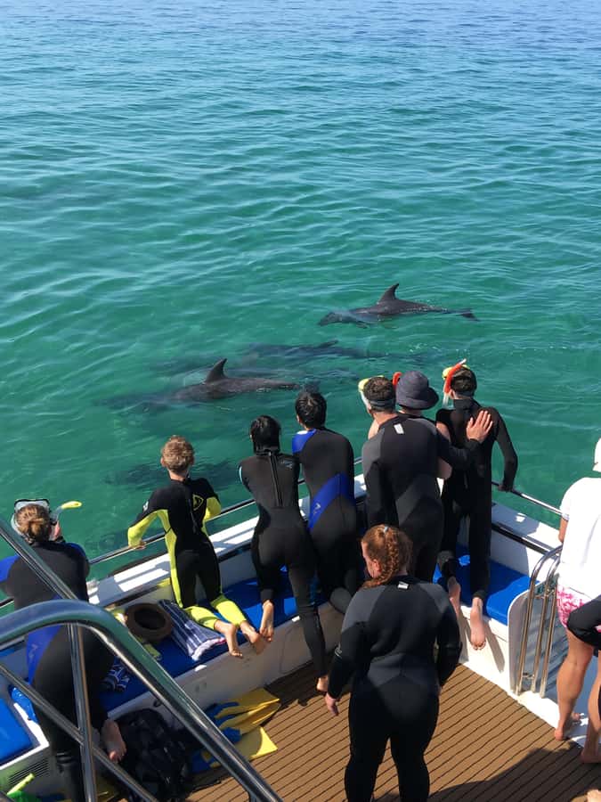 Sorrento,Mornington Peninsula: Wildlife & Sightseeing Cruise - Finding a comfortable seat onboard