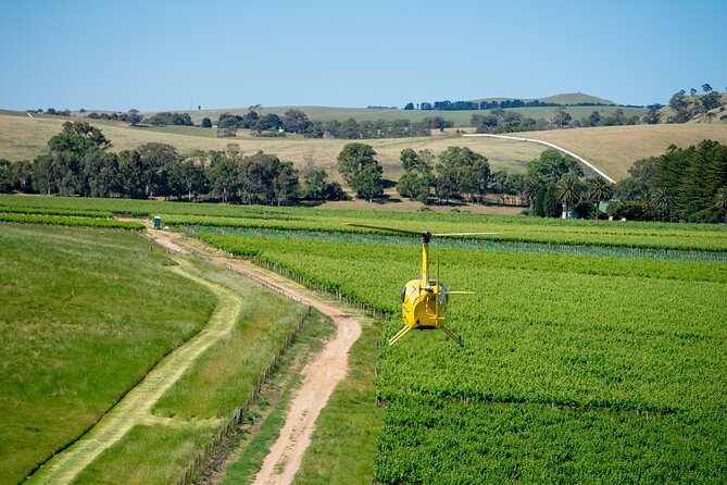 Southern Barossa: 10-Minute Helicopter Flight - Starting at Hoffnungsthal Valley