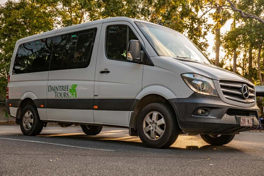 Southern Daintree Explorer Tour - Half Day - Key points at a glance
