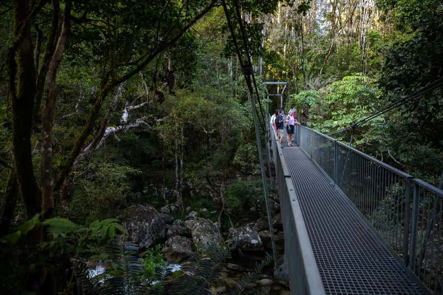 Southern Daintree Explorer Tour - Half Day - How much value do you get for $101?