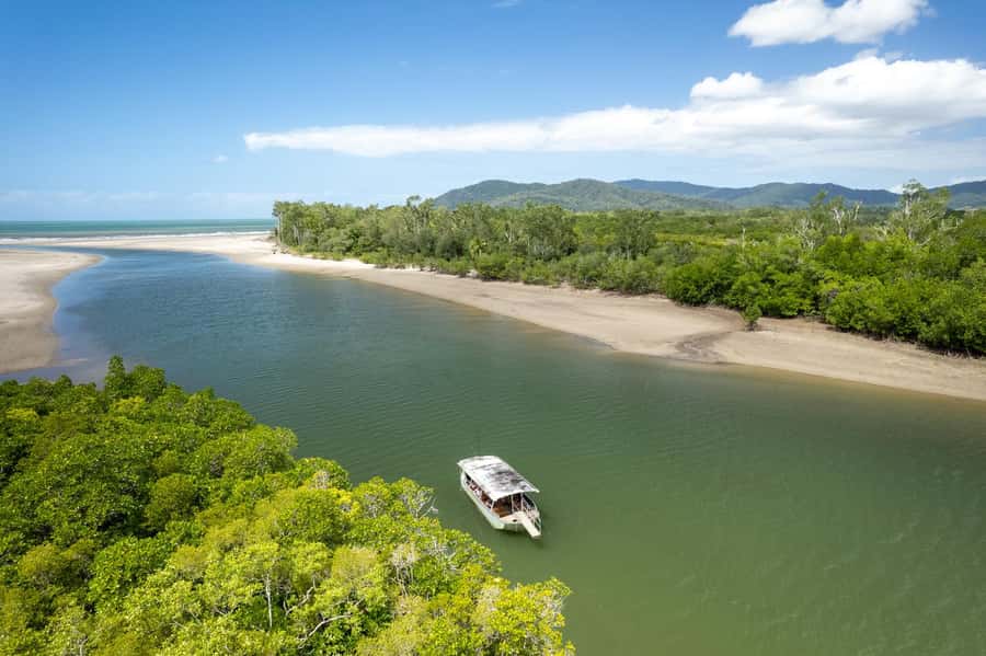 Southern Daintree Explorer Tour - Half Day - Who will get the most from this experience?