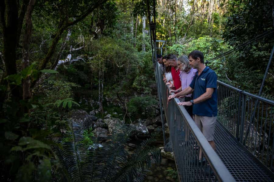 Southern Daintree Explorer Tour - Half Day - Practical tips before you go