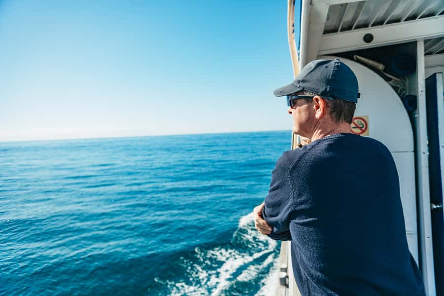 Spirit of Gold Coast 2.5-Hour Whale Watching Tour - From Broadwater Cafe to open ocean