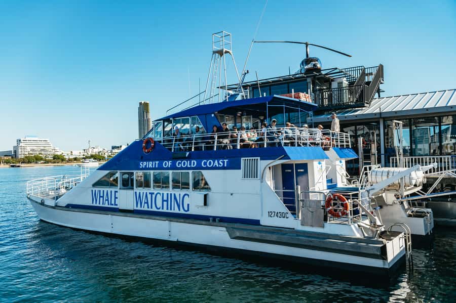Spirit of Gold Coast 2.5-Hour Whale Watching Tour - What the 150-minute boat ride feels like