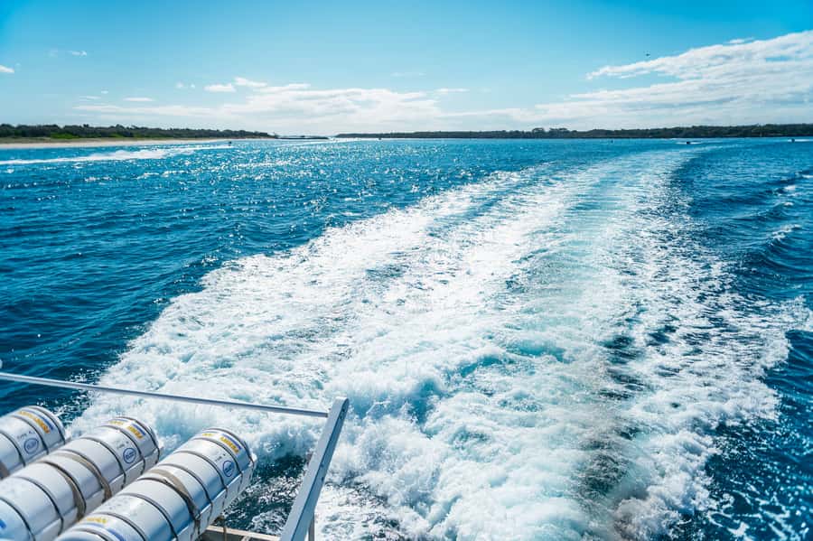Spirit of Gold Coast 2.5-Hour Whale Watching Tour - Captain Dean and the onboard commentary