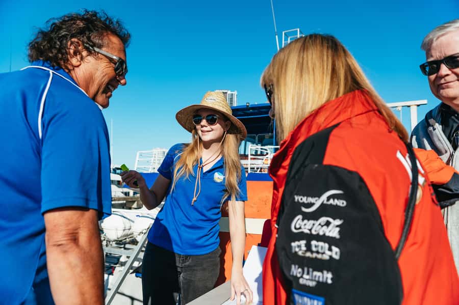 Spirit of Gold Coast 2.5-Hour Whale Watching Tour - Is $52 good value?