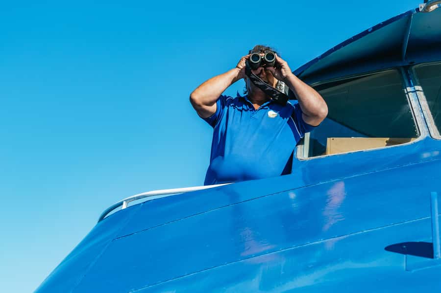 Spirit of Gold Coast 2.5-Hour Whale Watching Tour - Who will enjoy this cruise most?