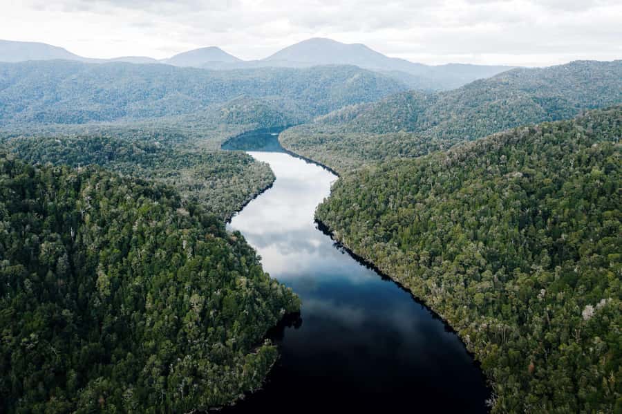 Strahan: World Heritage Cruise on Gordon River with Lunch - Is the $109 price good value?