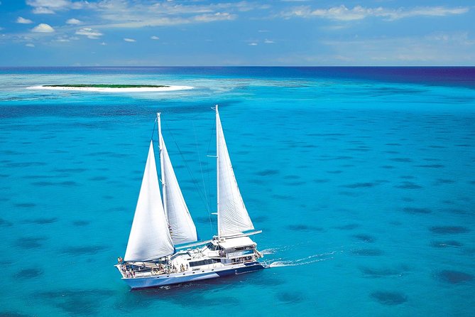 Sunlover Reef Cruises Cairns Great Barrier Reef Experience - Glass-bottom boat and underwater observatory