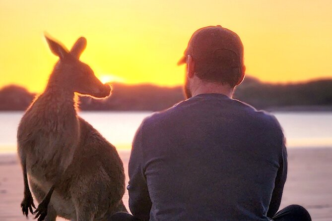 Sunrise with the kangaroos and wallabies - The 3am pickup and long ride south
