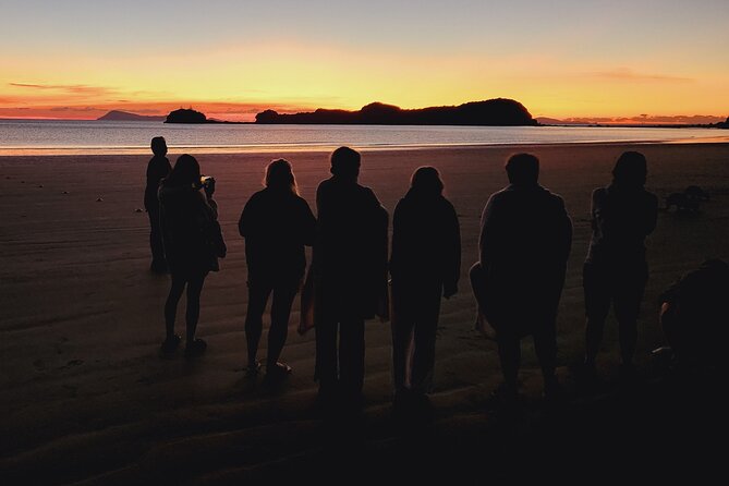 Sunrise with the kangaroos and wallabies - Is $109.61 a fair price?