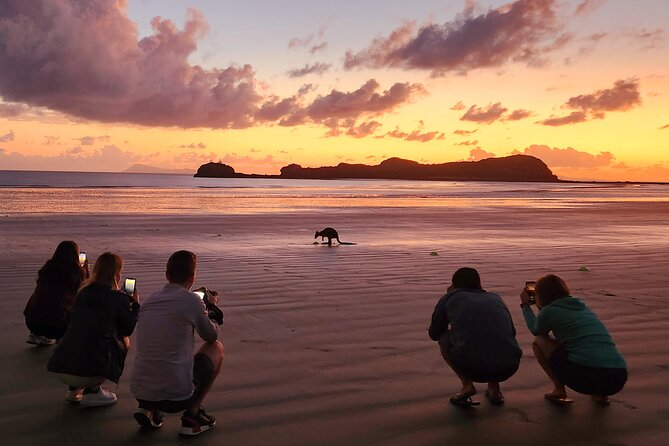Sunrise with the kangaroos and wallabies - Who will enjoy this sunrise tour most?