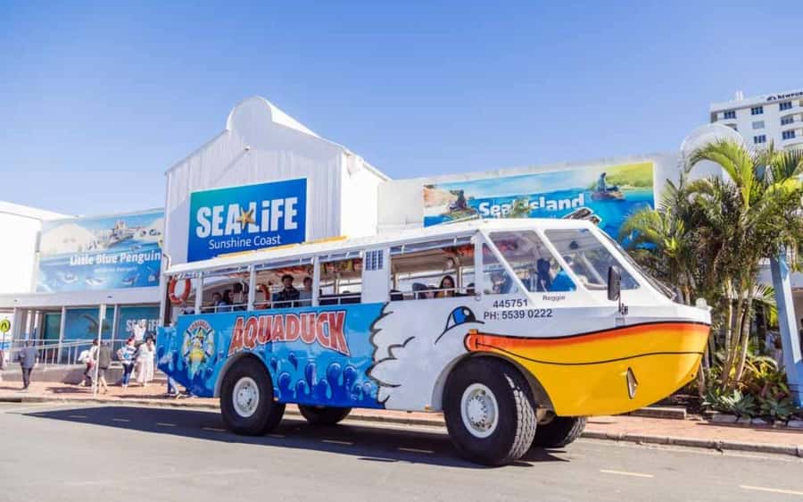 Sunshine Coast: 1-Hour Land and Water Tour - Why this one-hour tour works