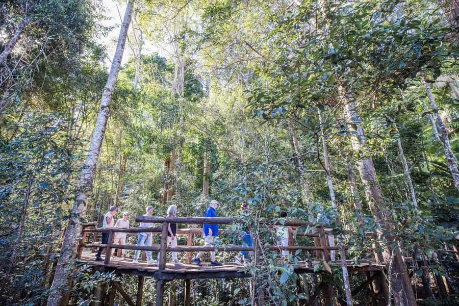 Sunshine Coast & Noosa Hinterland Scenic Culinary Experience - Montville: 45 minutes for shops and souvenirs