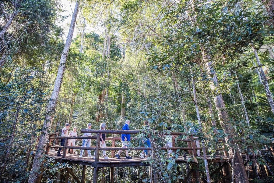 Sunshine Coast & Noosa Hinterland Scenic Culinary Experience - Mapleton Falls and the return to the coast