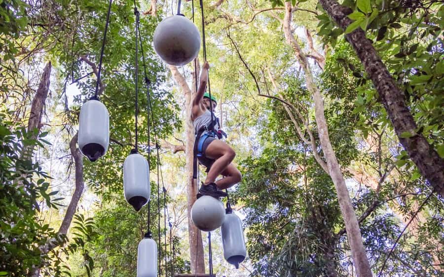 Sunshine Coast: Treetop Challenge Adventure Park - Key points before you climb