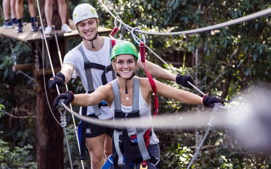 Sunshine Coast: Treetop Challenge Adventure Park - Arriving at the Big Pineapple rainforest park