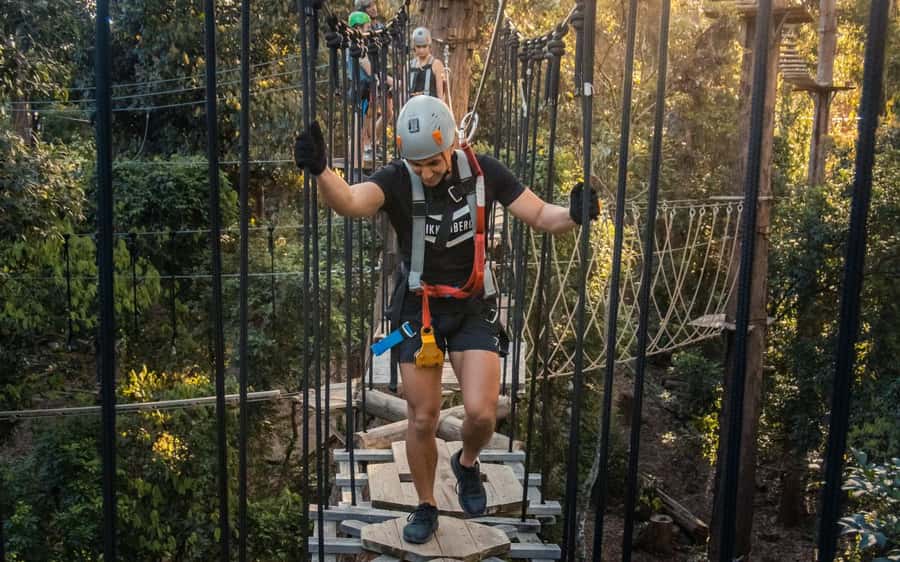 Sunshine Coast: Treetop Challenge Adventure Park - Is $49 good value?
