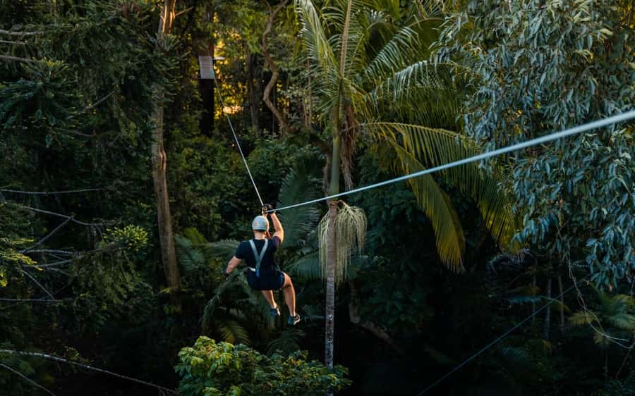 Sunshine Coast: Treetop Challenge Adventure Park - Who will enjoy the TreeTop Challenge most?