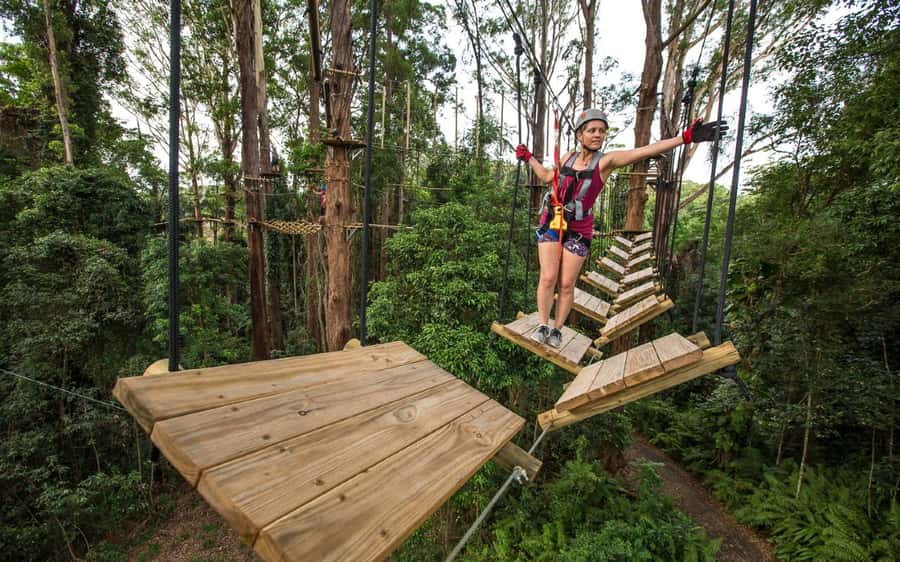 Sunshine Coast: Treetop Challenge Adventure Park - The first two courses: a sensible start in the trees