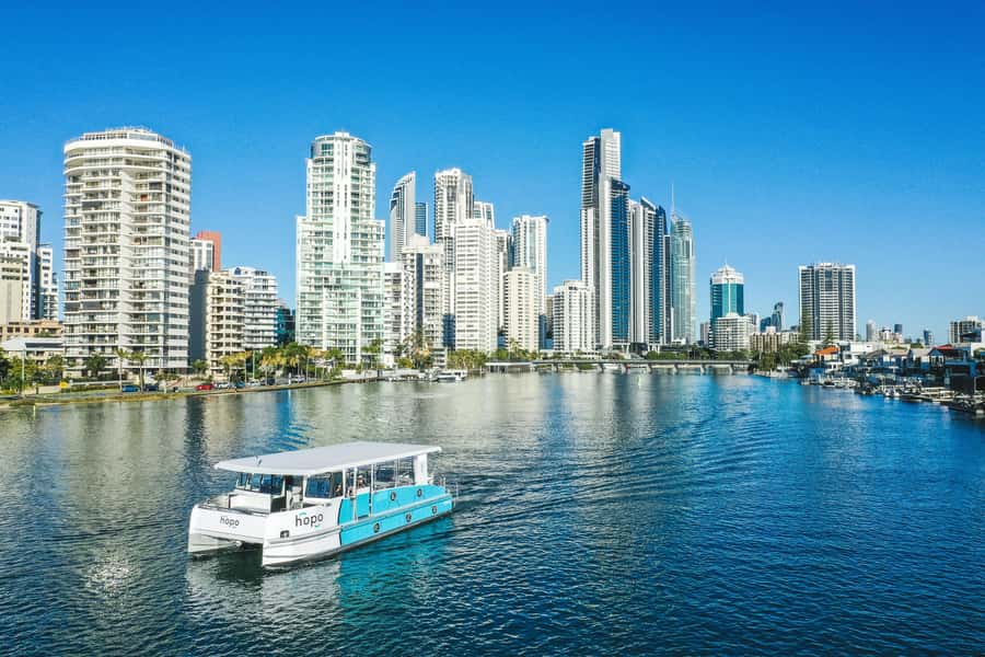Surfers Paradise: 2-Hour Gold Coast Sightseeing Cruise - Wildlife spotting, with realistic expectations