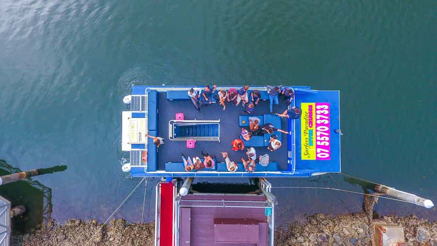 Surfers Paradise: Gold Coast Afternoon River Cruise - Broadwater views, yachts and the Main Beach wildlife watch
