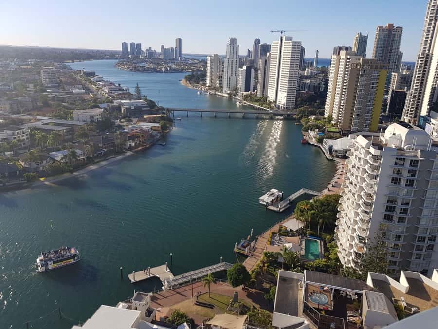 Surfers Paradise: Sightseeing Midday River and Canal Cruise - Looking for dolphins without making promises