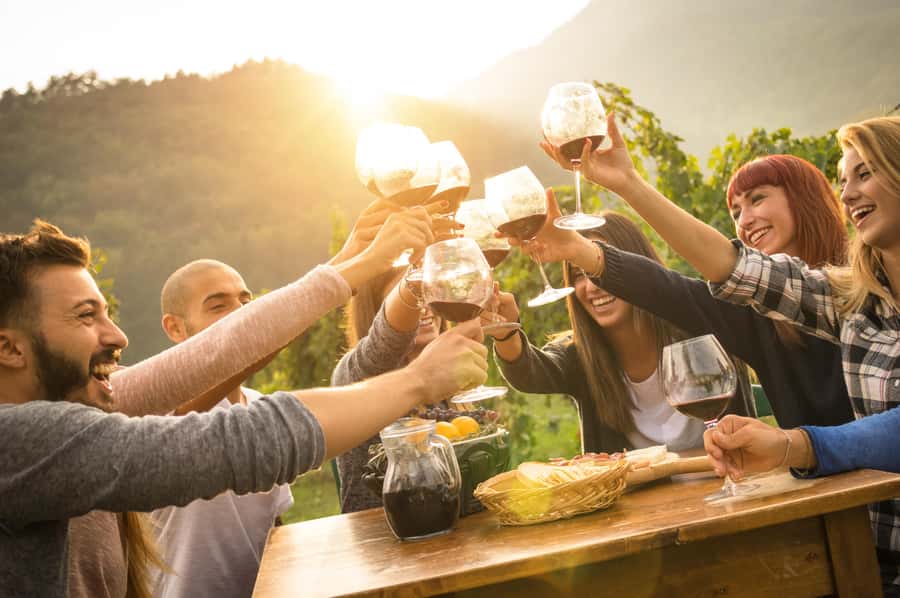 Swan Valley Full-Day Winery Experience with Lunch from Perth - Starting near Beaufort Street and James Street