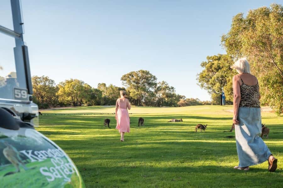 Swan Valley: Golf Cart Kangaroo Safari w/ Mini Golf & Drink - Four things to know before you go