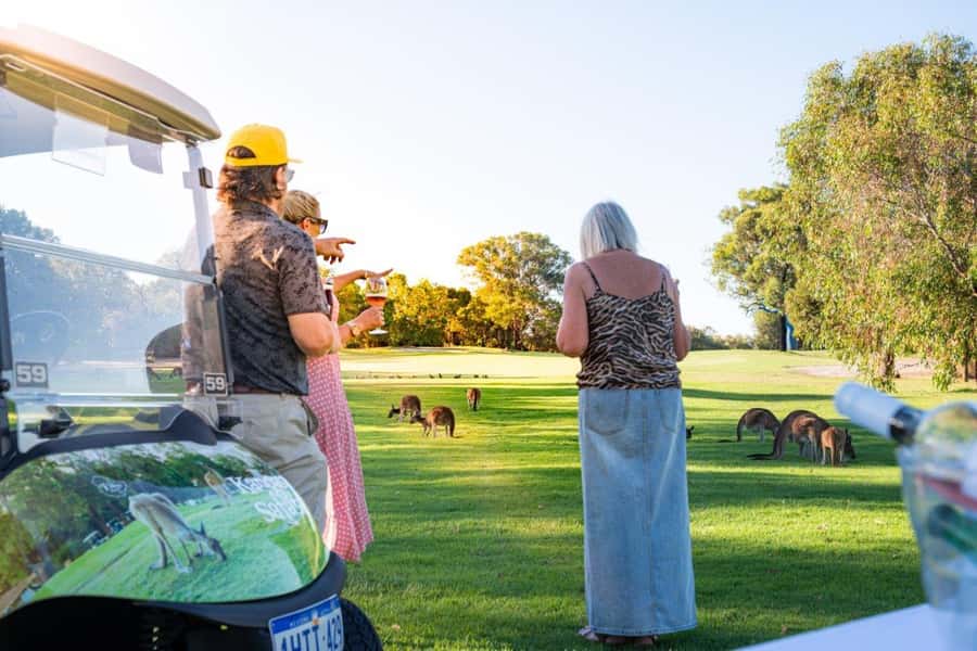 Swan Valley: Golf Cart Kangaroo Safari w/ Mini Golf & Drink - Searching The Vines fairways for kangaroos