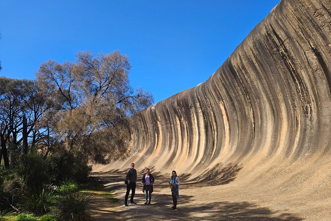 Swan Valley Wine Cruise - Who will enjoy this cruise most?