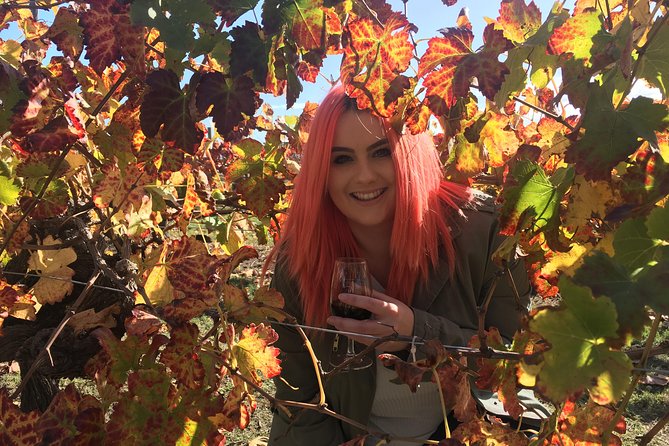 Swan Valley Winery Experience - Full Day Coach Tour - Four wineries, from large producers to family cellars
