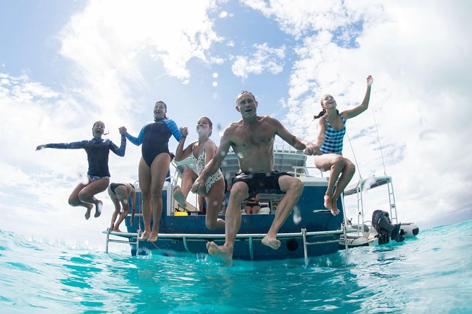 Swim with Whale Sharks in the Ningaloo Reef: 3 Island Shark Dive - What swimming beside a whale shark feels like