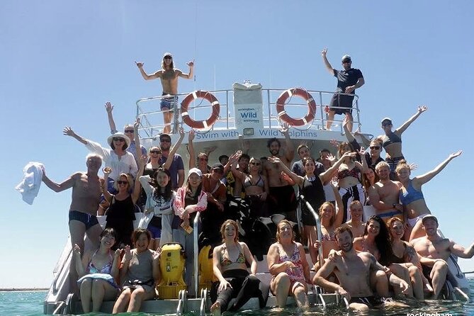 Swim with Wild Dolphins Day Tour - What the dolphin swim is really like