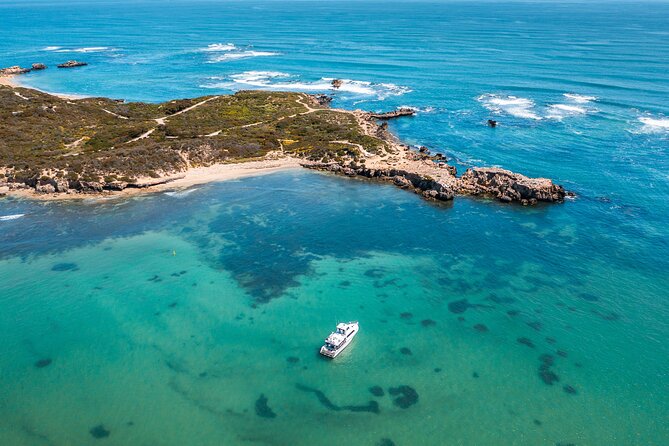 Swim with Wild Dolphins Day Tour - Wetsuits, masks, and the easy water access