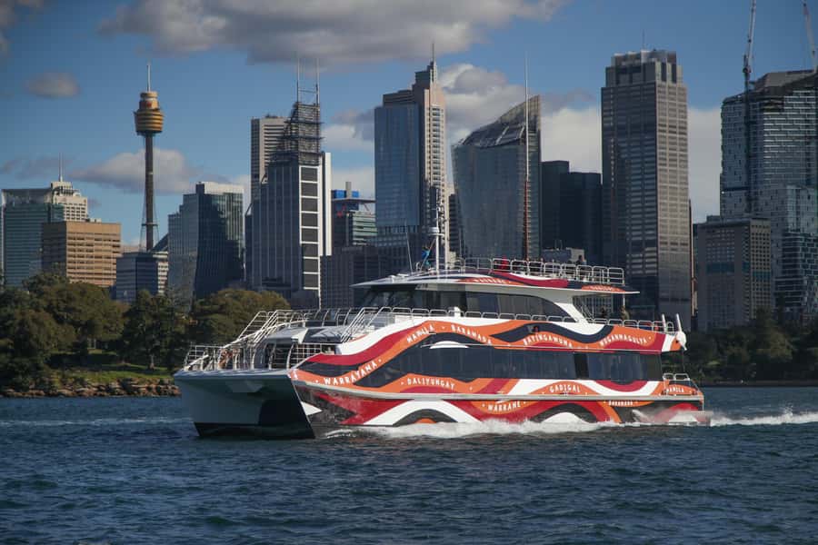 Sydney: 2-hour Express Whale Watching Cruise - Should you book the Sydney Express Whale Watching Cruise?