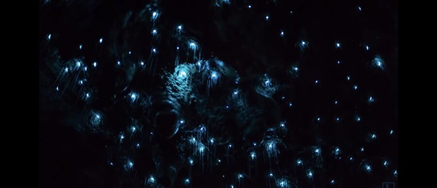 Sydney: Blue Mountains Glow Worms Wild Adventure by Night - The waterfall cave and its starry ceiling