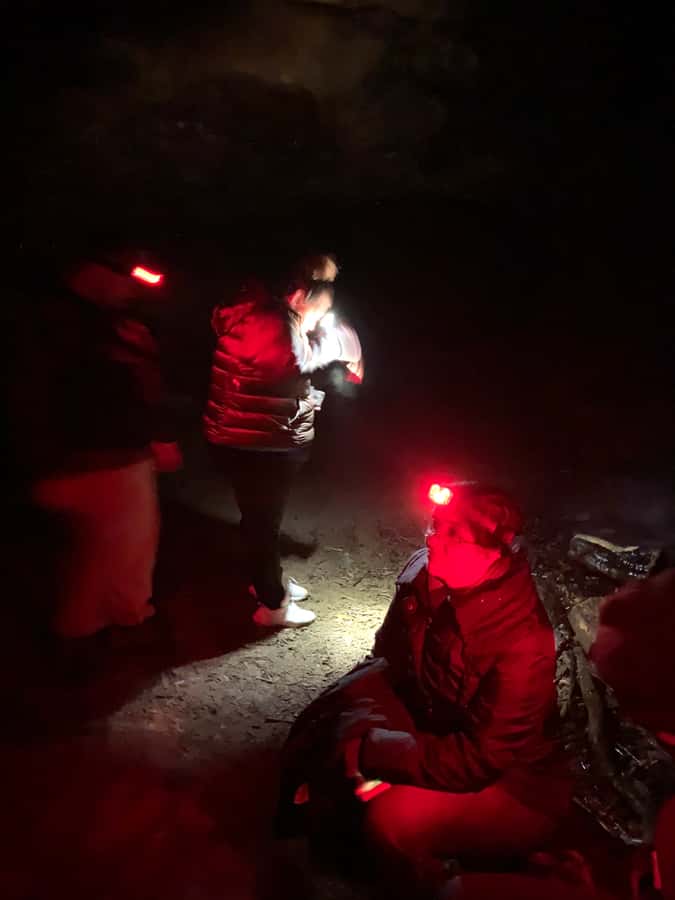 Sydney: Blue Mountains Glow Worms Wild Adventure by Night - Wildlife, bush tucker, and outdoor skills