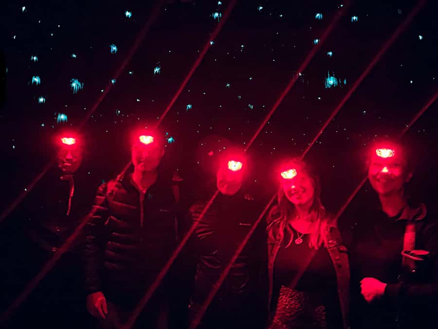 Sydney: Blue Mountains Glow Worms Wild Adventure by Night - How guides shape the experience