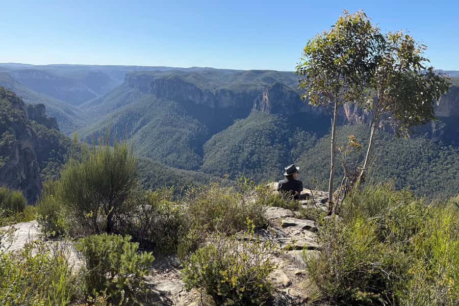 Sydney: Blue Mountains Kangaroos, Wilderness and Sunset Tour - Short wilderness walks with real hills