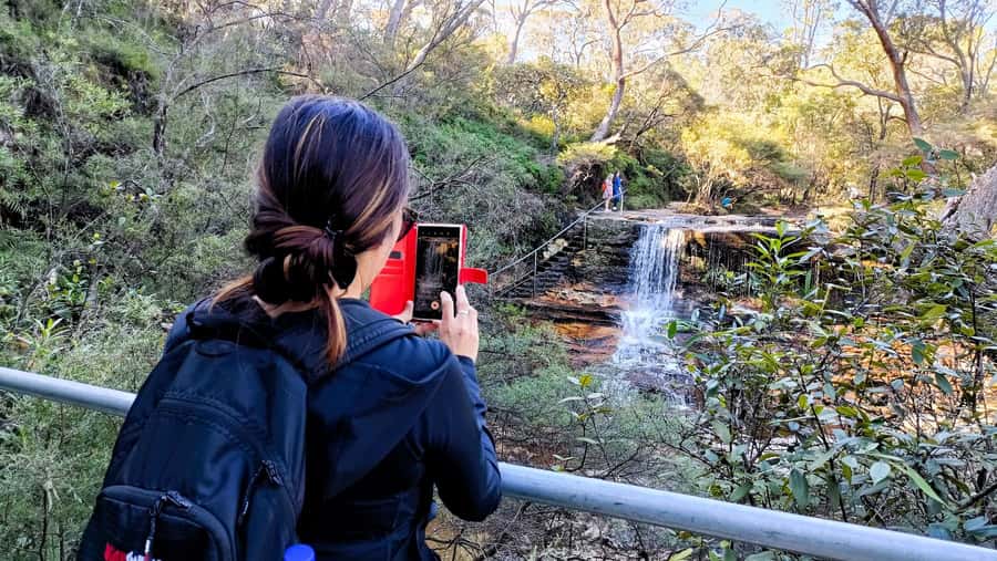 Sydney: Blue Mountains Late Start: Walks, Wildlife & Dinner - Megalong Valley and the search for wild kangaroos