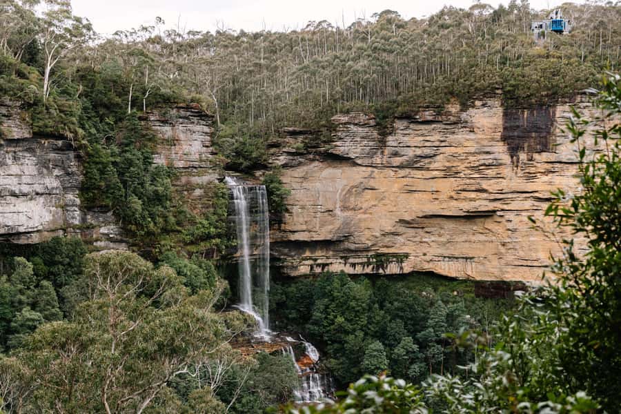 Sydney: Blue Mountains Scenic World, Wildlife Park and Lunch - Is $197 good value?