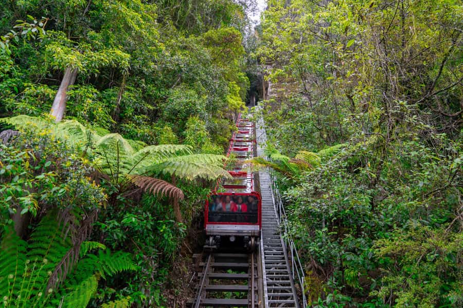 Sydney: Blue Mountains, Scenic World, Zoo & Lincoln's Rock - Echo Point and the Three Sisters