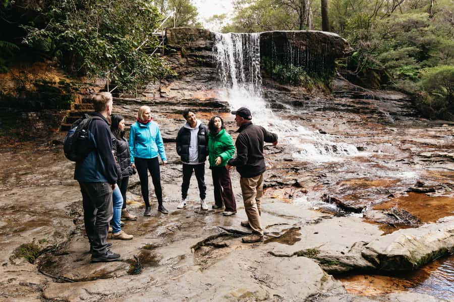 Sydney: Blue Mountains Wildlife & Bushwalk Small-Group Tour - Should You Book It?